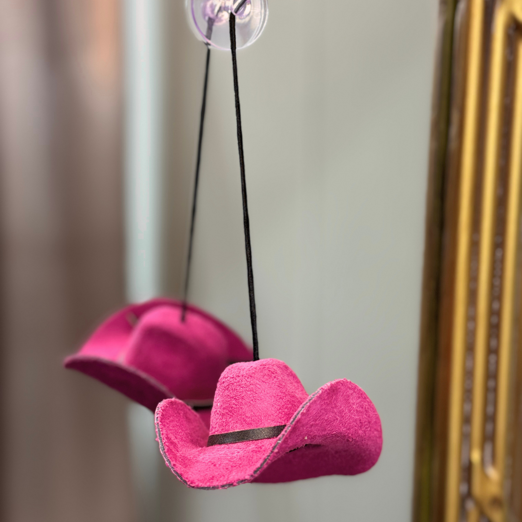 Cowgirl Hat Hangers