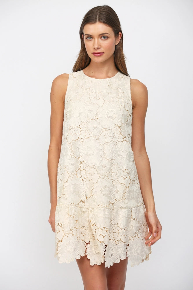 Floral Eyelet Bow-Back Mini Dress