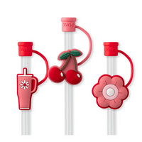 Swig Straw Topper Set *Final Sale*