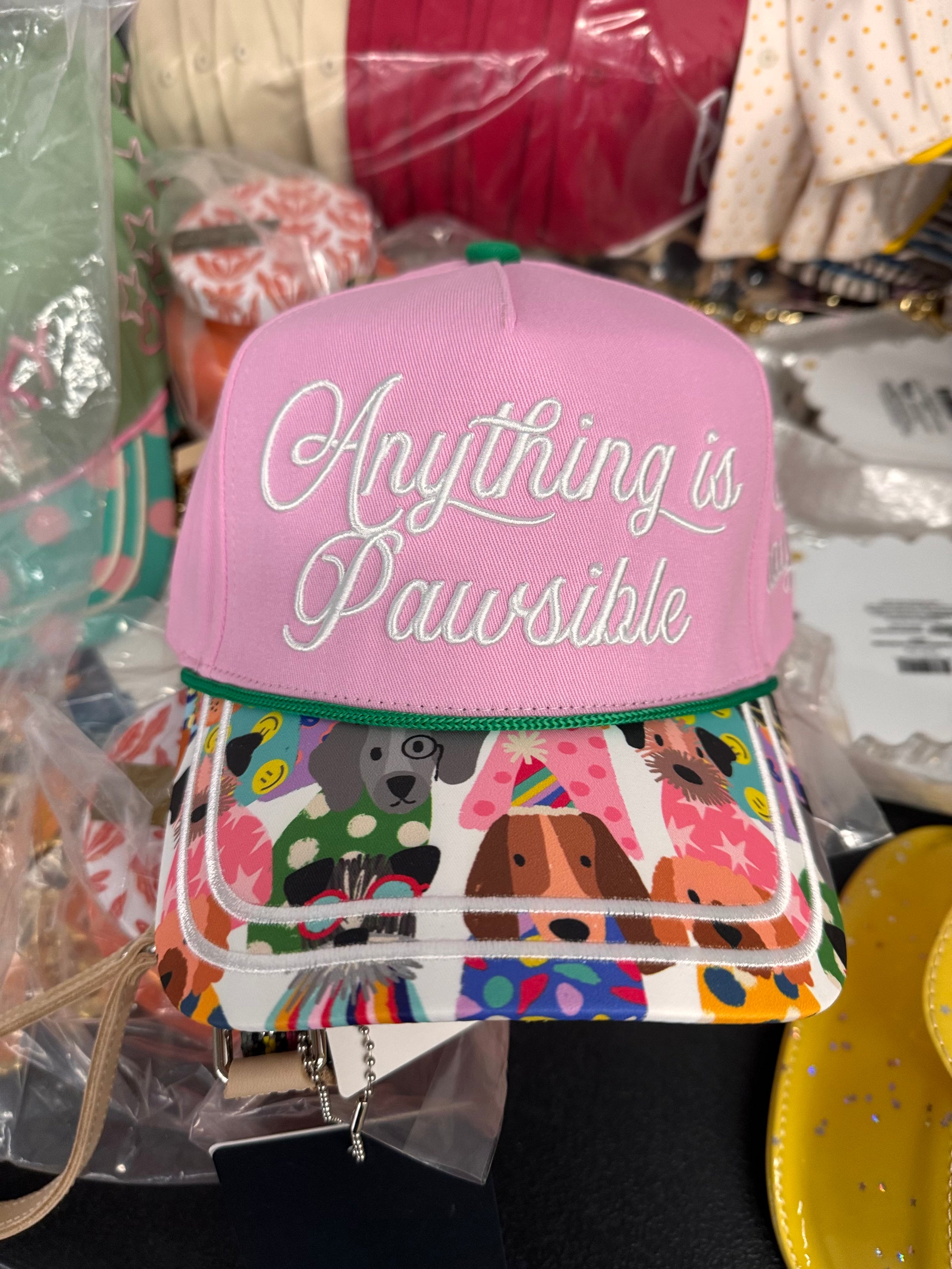 Anything Is Pawsible