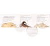 Farmhouse Fresh Fast Fix Mask Sampler Set