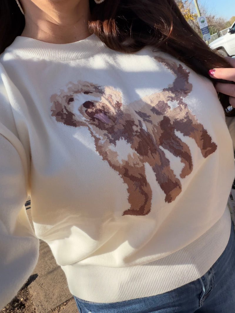 Doggie Doodle Sweater Top