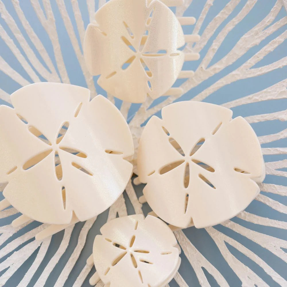 Sand Dollar Flat Hair Clip Collection by Teleties