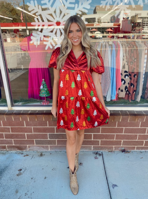 Sleighbell Dress*Final Sale – Molly Malone's Boutique