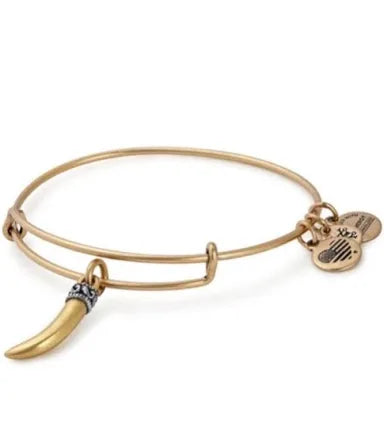Alex & Ani Horn Bracelet