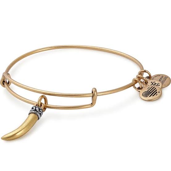 Alex & Ani Horn Bracelet