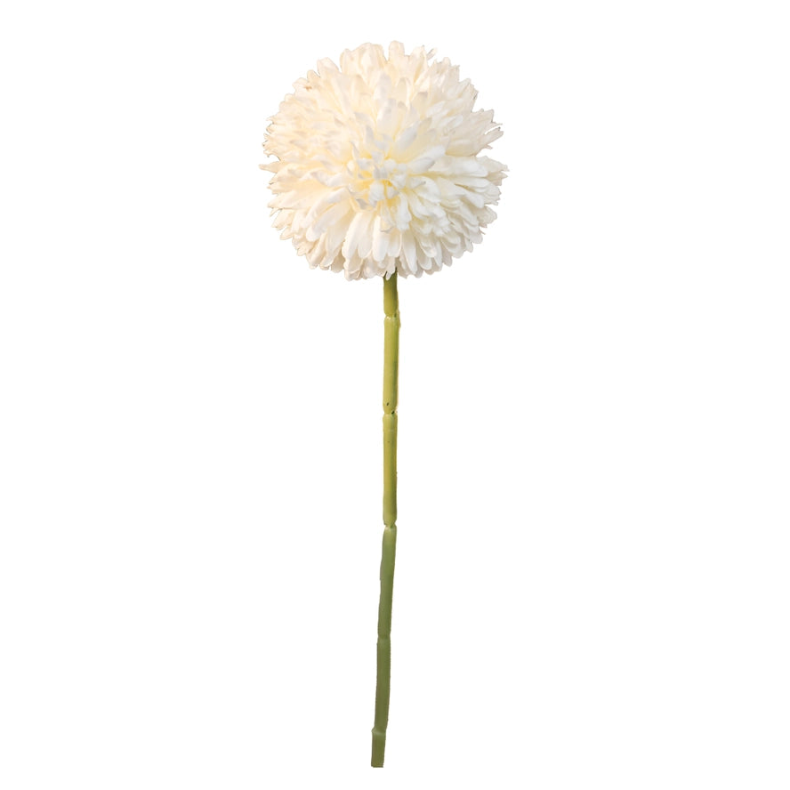 Long stem Flower