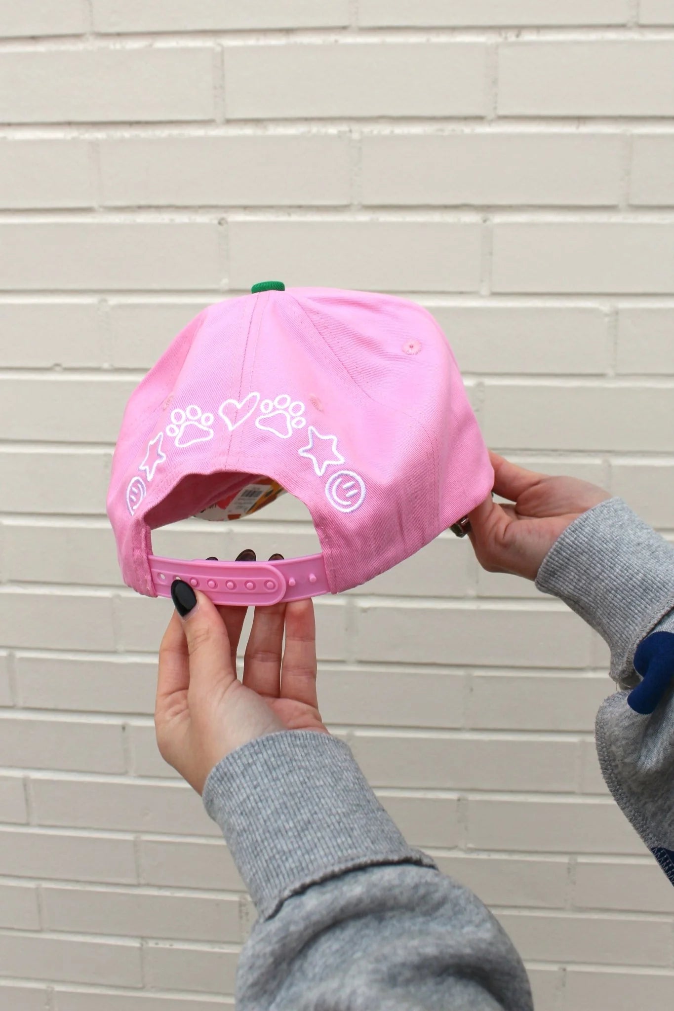 Anything Is Pawsible